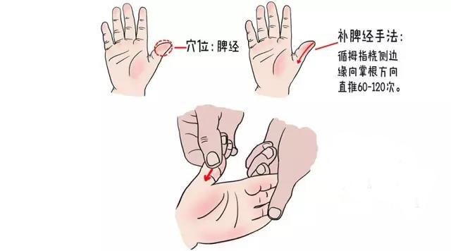 贴心小编附上小儿推拿手法: (1)补脾经  在按摩时妈妈们也可以配套