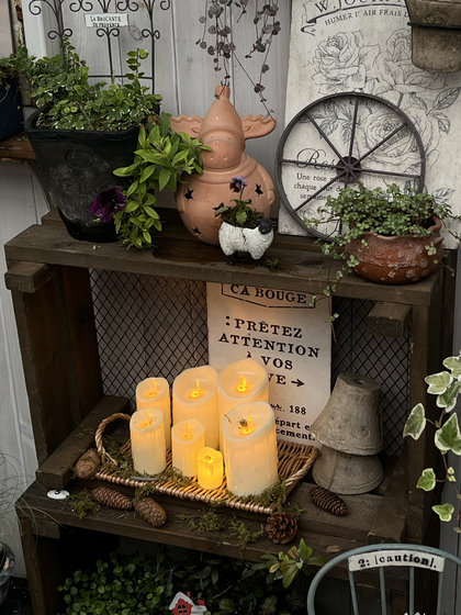 Fall in love with garden garden art home grocery electronic candles with single free shipping
Fall in love with garden garden art home grocery electronic candles with single free shipping