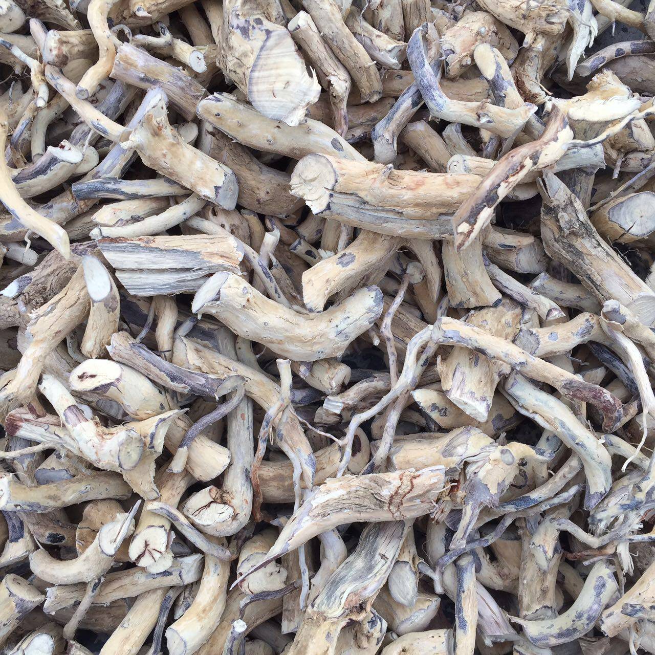 野生中药材白马骨根 六月雪根 纯根500克 35元