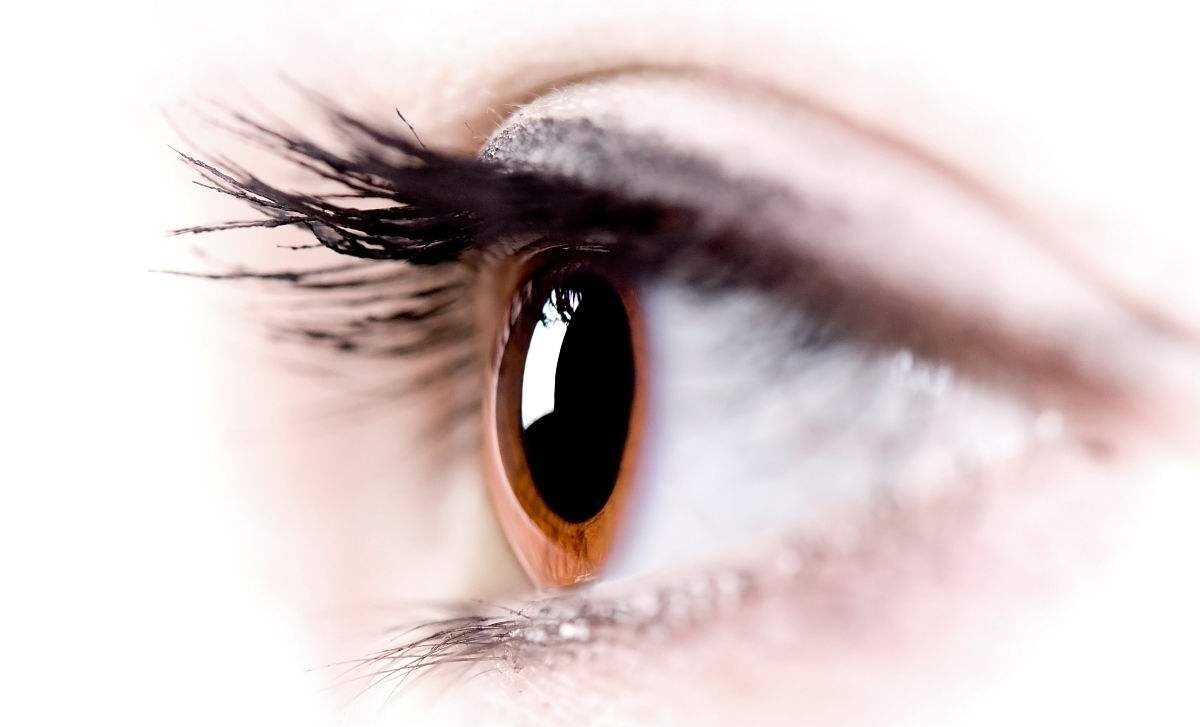 眼睛是心灵的窗户,你的窗户除灰了吗?