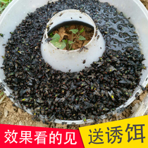 Flycatcher to kill flies artifact fly killer restaurant Restaurant household commercial Automatic sweep