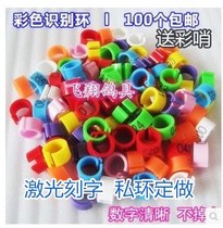 Pigeon foot ring meat pigeon Mark ring carrier pigeon plastic snap ring seed pigeon foot ring digital identification ring electronic ring custom ring