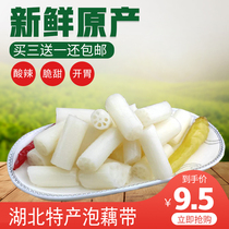 Hubei Honghu Xiantao local specialty bubble lotus root with sour and spicy kimchi sour and sweet appetizer pickled pepper lotus root