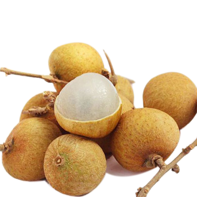 正宗高州储良新鲜桂圆水果 农家特级龙眼精选5斤现货现摘顺丰包邮