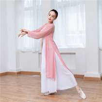 Classical dance performance clothing female elegant Chinese style body rhyme gauze chiffon big shirt performance practice clothing mid-length ethnic