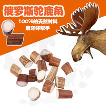 (Dute pet) Russia imported camel antler squirrel groundhog pet calcium molar artifact wear-resistant