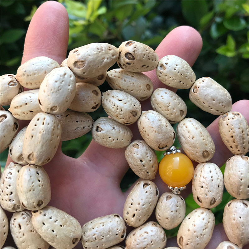 正宗太阳子菩提子54颗手串手链佛珠文玩男女款项链车挂提珠念经用