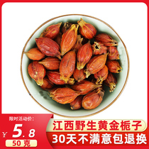 Wild gardenia Chinese herbal medicine gardenia tea gardenia fruit red gardenia yellow gardenia mountain gardenia soaked in water 50g