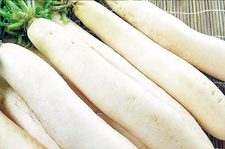 圣凯华农浙大长白萝卜种子籽春秋播大田冬储蔬菜经济作物蔬菜种子