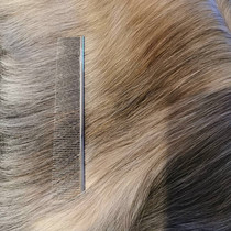 United States Christine son Christensen Christenson Christensen row comb 0016 pet puppet cat comb dog comb