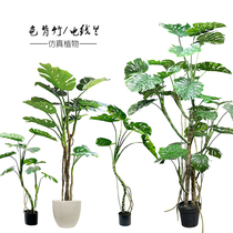 Simulation turtle back tree bamboo tropical green plant sales office indoor balcony window large floor-to-ceiling potted landscape decoration