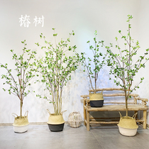 Simulated Chunshu tree model room clothing store window Zen simple light luxury style green plant potted decoration