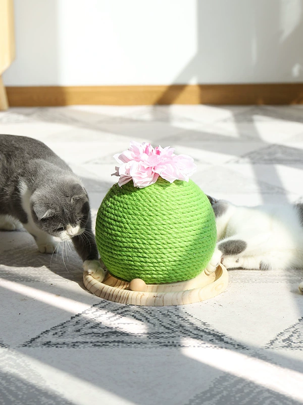 Nhận nuôi Trang chủ / Xương rồng Prickly Pear Cat Scratch Board Pet Chống xước Sofa mài Claw Đồ chơi Sisal Cat Climbing Frame - Mèo / Chó Đồ chơi