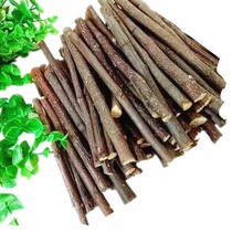 Apple Branches Hamster Teeth Red Fuji Apple Branches Small Darling Dragon Cat Hamster Guinea Pig Guinea Tooth Rod 100 gr