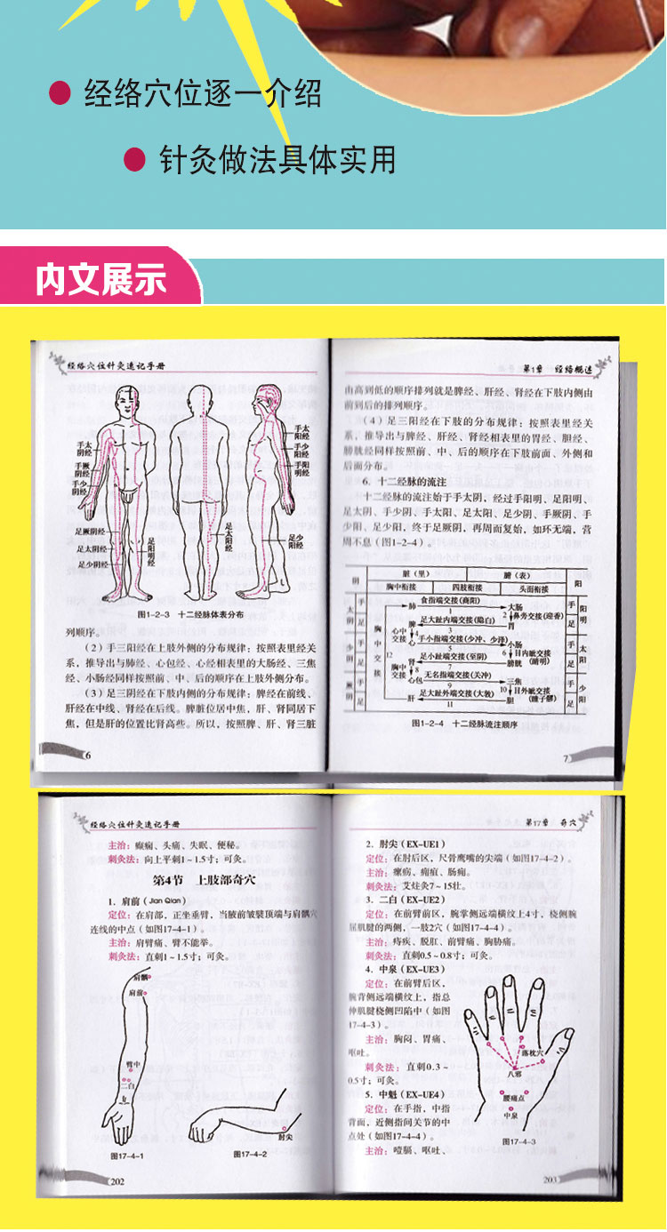 中医速记手册丛书 中医诊断 脉诊速记 中药方剂速记 中医入门速记