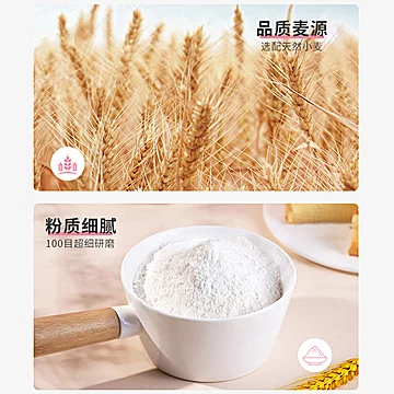 易小焙蛋糕粉电饭煲专用预拌粉300g[3元优惠券]-寻折猪