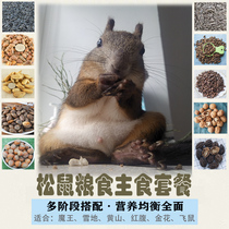 Squirrel grain staple snack tank worm flying squirrel Golden Flower Devil King staple food feed pine nut supplies