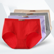 4-pack womens underwear womens cotton briefs mid-waist fat mm plus fat plus size cotton girl-style underpants