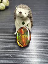 Bi Jincai natural Canadian spotted gems with single-sided bare stone can be inlaid with stained snail fossils