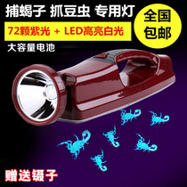 2019 Upgrade scorpion lamp Catch catch photo Scorpion lamp Bean worm Scorpion lamp Strong light rechargeable lithium purple scorpion lamp