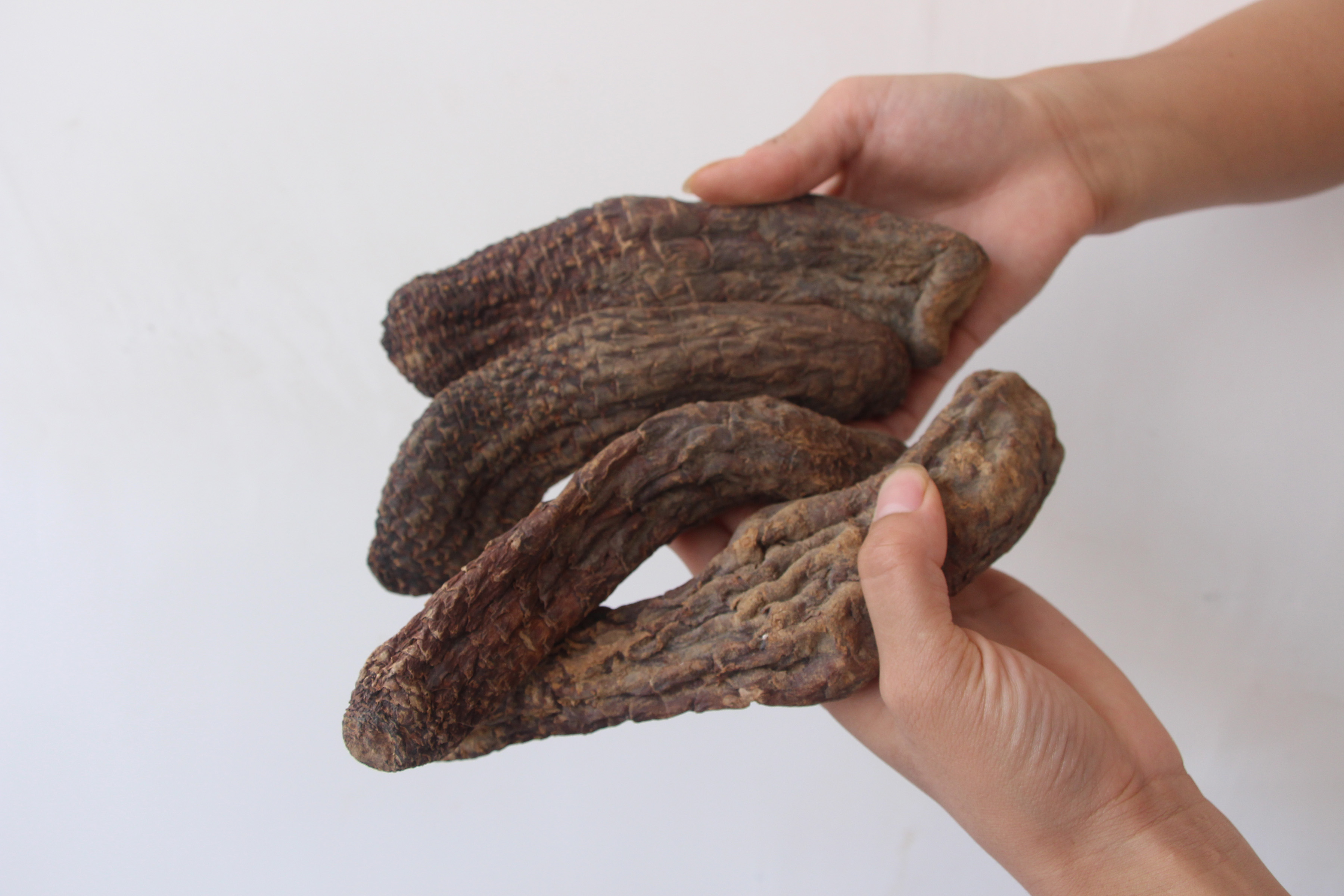 野生肉苁蓉泡酒中药材特级大芸阿拉善大云500克包邮可配锁阳