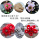 크리스탈 구리 와이어 DIY 고대 스타일 헤어 핀 헤어 액세서리 구슬과 고정 된 손으로 wounded 금속 와이어 헤드 드레스 소재로 사랑 크리스탈 구리 와이어 DIY 고대 스타일 헤어 핀 헤어 액세서리 구슬과 고정 된 손으로 wounded 금속 와이어 헤드 드레스 소재로 사랑