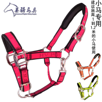 Yingqi harness export original single candy color small horse cage head pony special eye-sucking horse dragon equestrian supplies