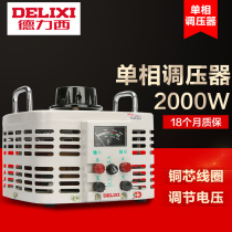 Delixi Single Phase Regulator 2000w Input 220v Regulator TDGC2 2kVA Adjustable 0v-250v