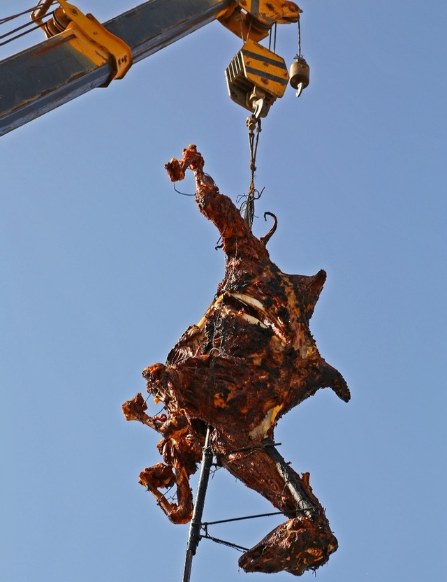 【动用"吊车"当竹签的"烤骆驼"你敢吃吗?】