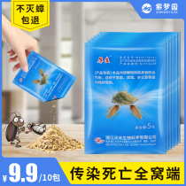 Cockroach Drug Home Kitchen One Nest End Powerful cockroach Cockroach Bait Killing cockroach Bait Killing Cockroach Bait 10 Bag Cockroach Powder
