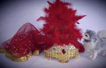 Xinjiang dance Big feather Children adult Indian dance Belly dance Arab dance performance headdress