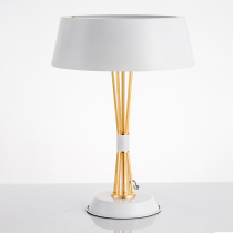 Nordic post-modern simple wrought iron table lamp living room study bedroom bedside lamp designer creative hotel decorative lamp