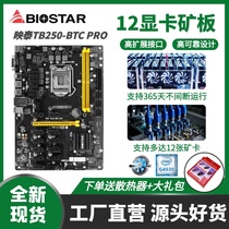 BIOSTAR BIOSTAR TB250-BTC PRO Brand new 12-card platform motherboard CPU memory set Futures available for sale