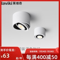 Levitch surface mounted spot light led ceiling light Ceiling background wall aisle entrance light Nordic cob clothing store downlight