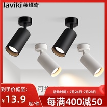 Surface mounted spotlights Adjustable angle Single household small ceiling track lights Concentrated spotlights LED ceiling lights Downlights
