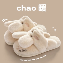 Japan's purchase of BM cute new cotton slippers female winter anti-skid soft bottom heating bag and moon slippers