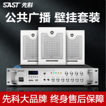 SAST Xianke SA-02 Wall Hanging Speaker Restaurant Store Ceiling Speaker Set Background Music Music Horn