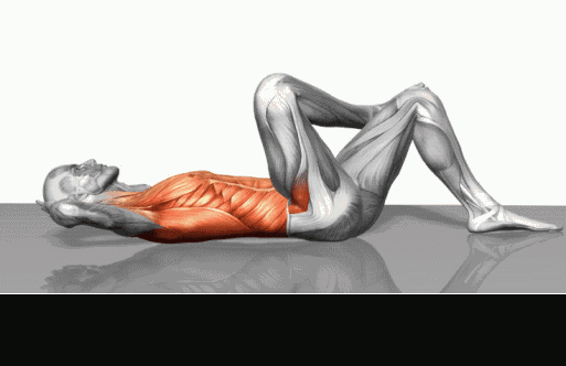 训练动作不求人,最全健身动图教程!