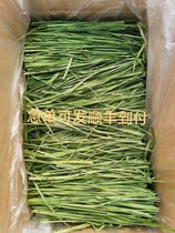 Tim Moses Grass grass section 22 years old stubble class drying dragon cat rabbit dried grass Dutch pig guinea pig North Tito 1000g