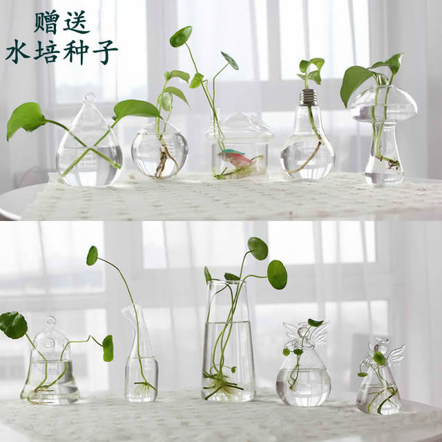 Creative home water culture glass vase transparent flower table decoration indoor gardening office table decoration Creative home water culture glass vase transparent flower table decoration indoor gardening office table decoration