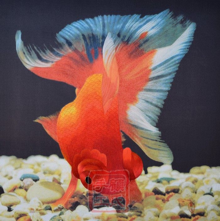 75*75顾氏苏绣金鱼,4丝 红色金鱼"鸿运当头",乔迁送礼佳品