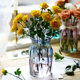 Glass vase transparent hydroponic green dill European home living room decoration garden small fresh dry vase flower arrangement gardening Glass vase transparent hydroponic green dill European home living room decoration garden small fresh dry vase flower arrangement gardening