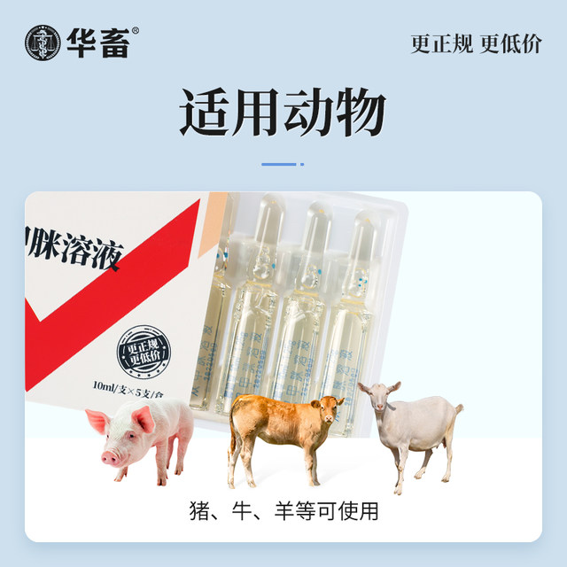 Huaxiu Veterinary Medicine ວິທີແກ້ໄຂ Dimethylamidine ສໍາລັບຫມາ, ຢາສັດຕະວະແພດສໍາລັບຫມູ, ງົວແລະແກະ in vitro anthelmintic ເພື່ອຂ້າເຫົາ, ແມງ, ເຫັບແລະກໍາຈັດ fleas