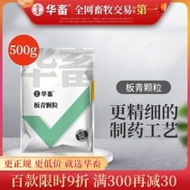 Chinese Livestock and Poultry Veterinary Bingqing granule veterinary medicine Banqing granule veterinary medicine Banlangen chicken duck heat clearing away and detoxification antiviral pregnant animal available