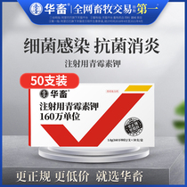 China animal veterinary drugs 1.6 million units for injection of penicillin potassium liquid pig zhu yao Veterinary Poultry drugs ji yao to cattle and sheep in medicine