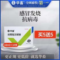 Hua animal Chinese veterinary medicine Shuanghuanglian injection veterinary Shuanghuanglian pig medicine rabbit cattle medicine sheep medicine fever cough cold