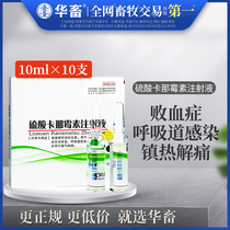 Chinese animal and veterinary medicine kanamycin sulfate injection pig cattle sheep dog cat rabbit poultry respiratory tract panting bronchitis