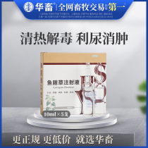 Veterinary veterinary Houttuynia cordata injection zhu niu yang dogs and cats heat-clearing and detoxifying diuretic Tonglin Yimu postpartum injection