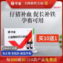 Chinese Livestock Veterinary Drug Supplement Iron Injection Beast with Dextran Iron Injection Supplement Blood Raw Blood Pheu Blood Paparazzi Pig Supplement Iron