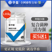 Chinese livestock breeding bacteria emobacteria embacteria powder stock solution fermentation bed faeces bean residue straw hog water feed starter